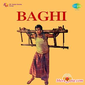 Poster of Baghi (1953)